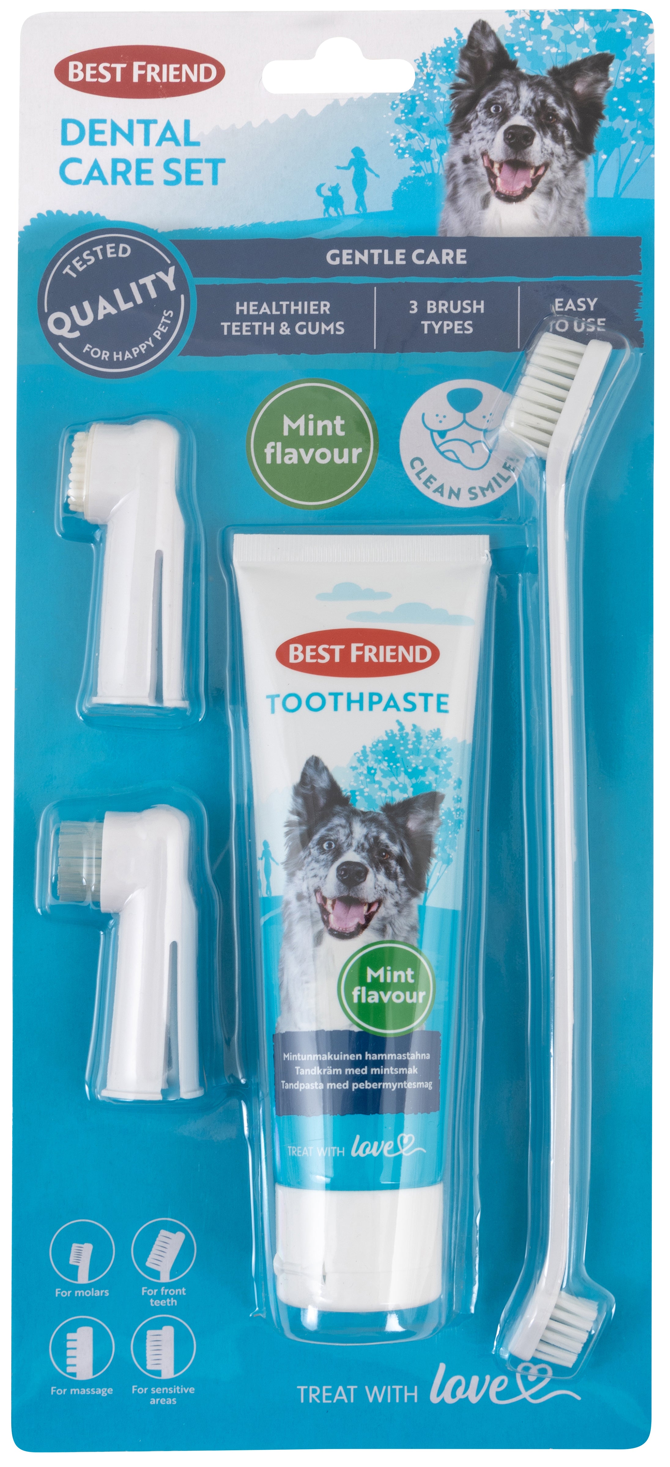 Best Friend Hammashoitosetti koiralle, sisältää 3 harjaa ja mintunmakuisen hammastahnan