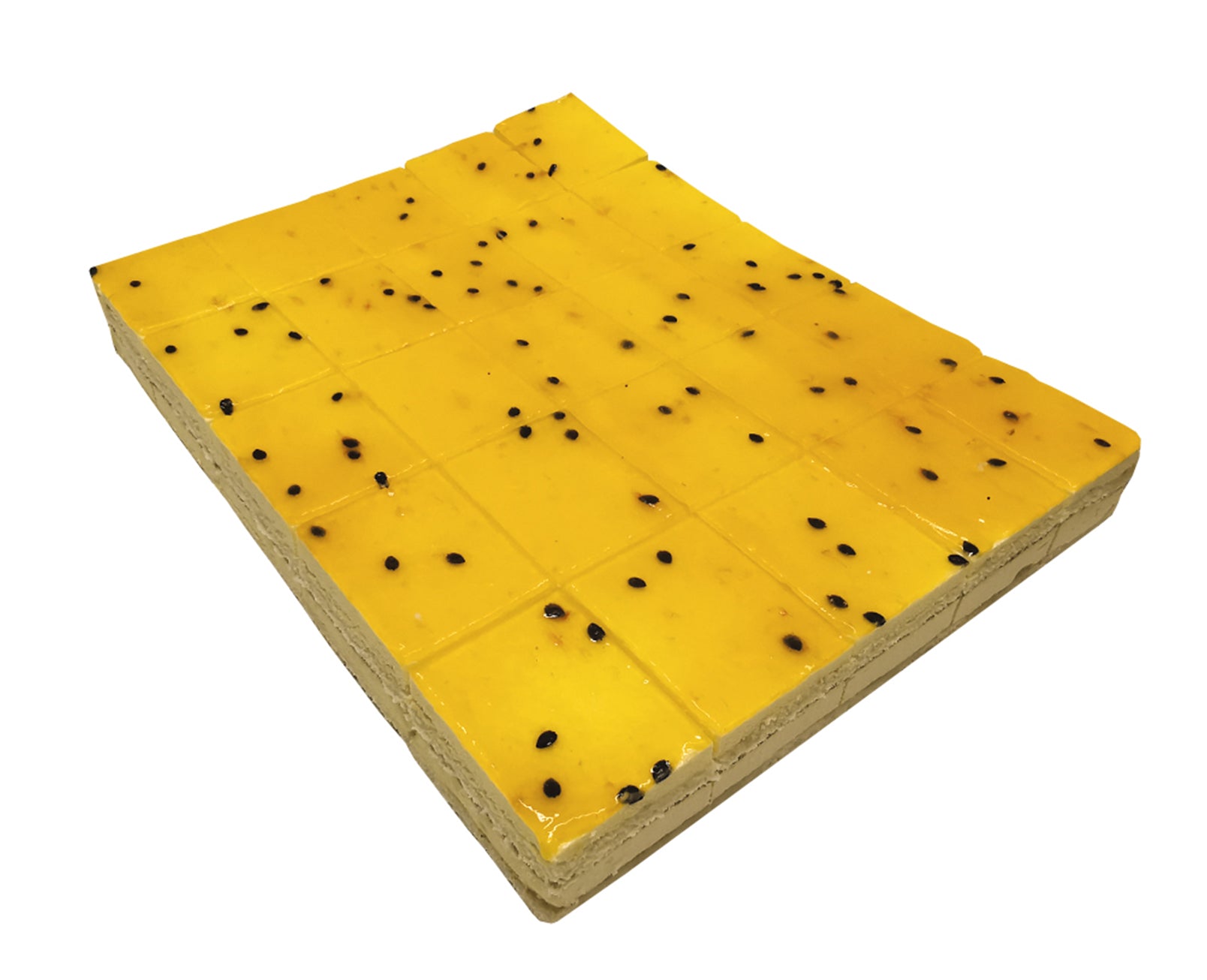 Elonen KP Mango-Passionlevykakku 2000g