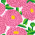 Marimekko lautasliina Primavera pinkki 20kpl/33cm