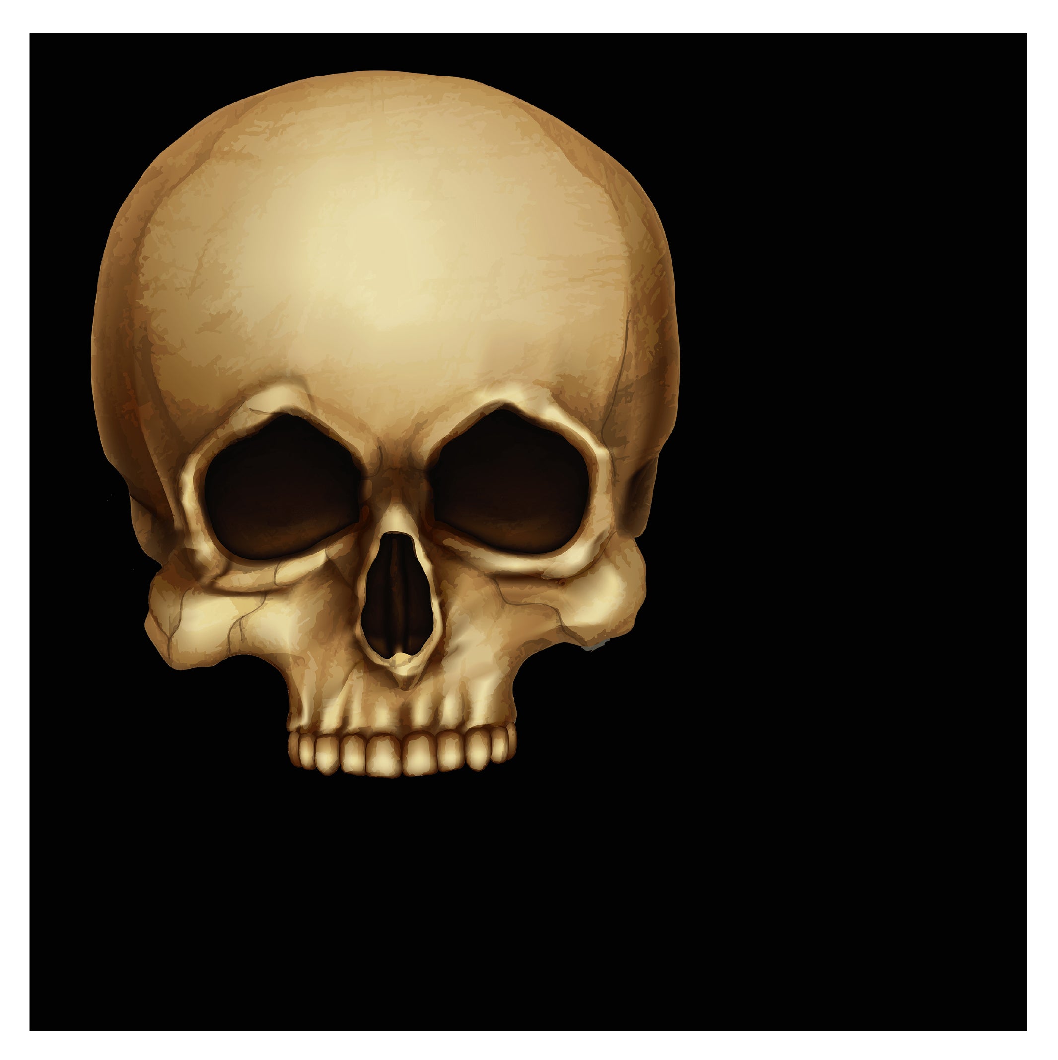 Juhlamaailma Halloween Pääkallo paperilautasliina 20kpl 33cm